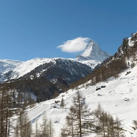 Telemark * Zermatt