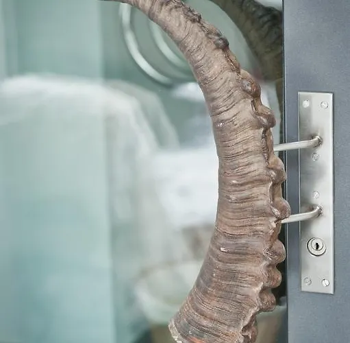 Telemark Appartamento